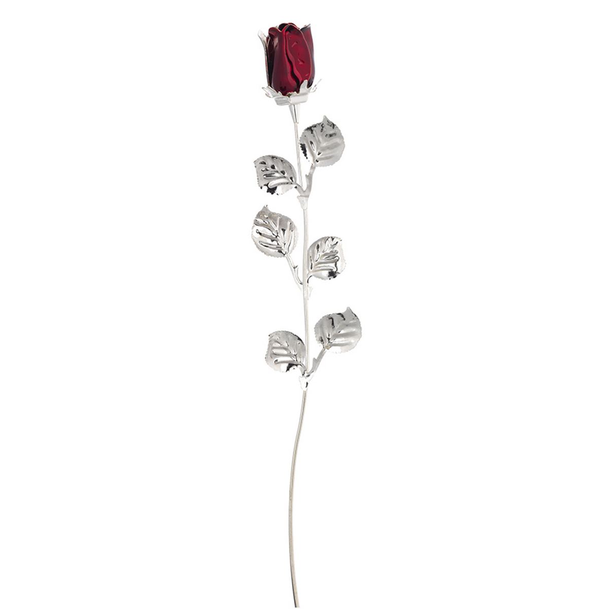 ROSA CM 30 – BORDEAUX
