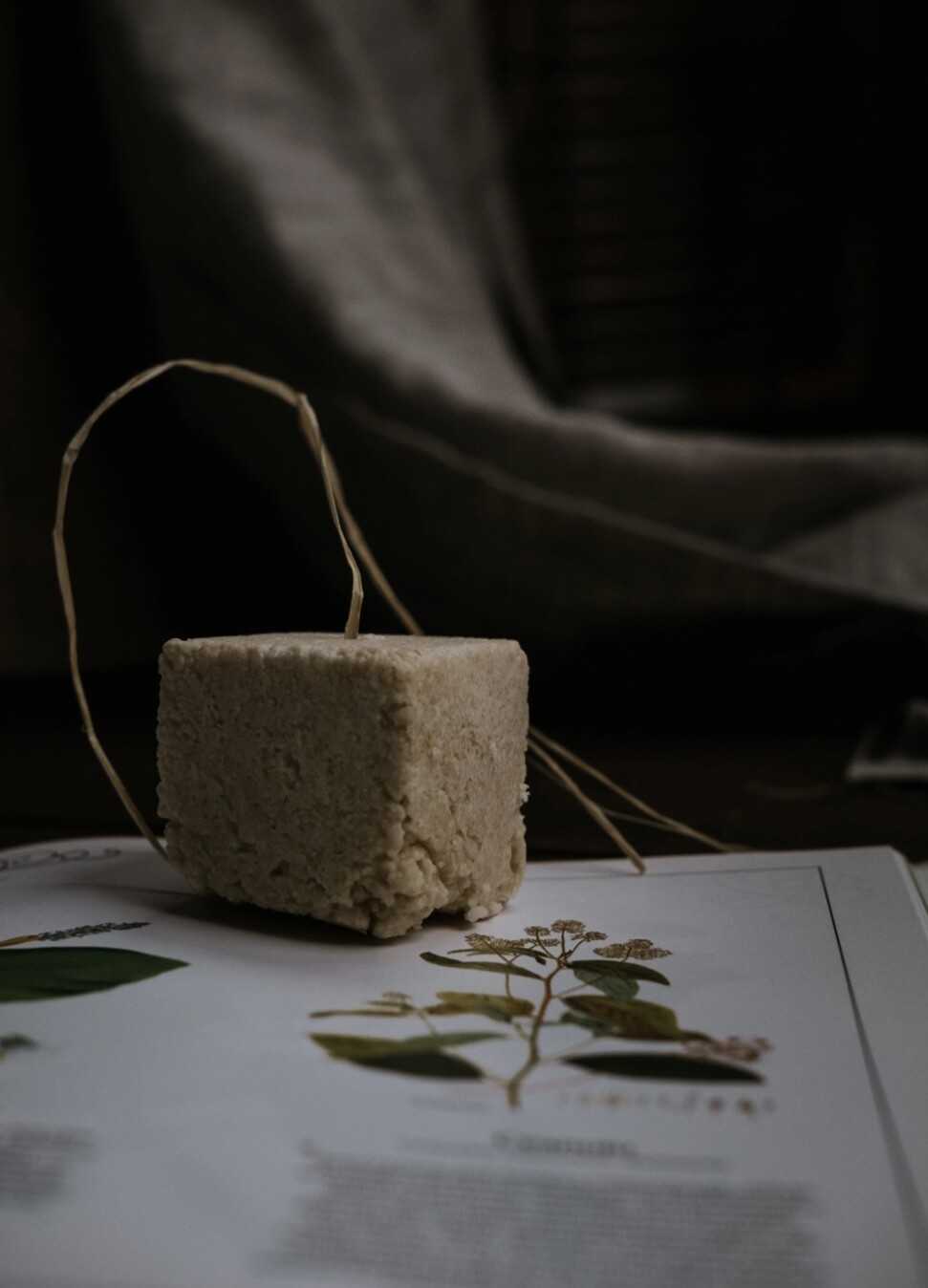 Shampoo e balsamo L’Incomparabile – Ethical Grace - immagine 3