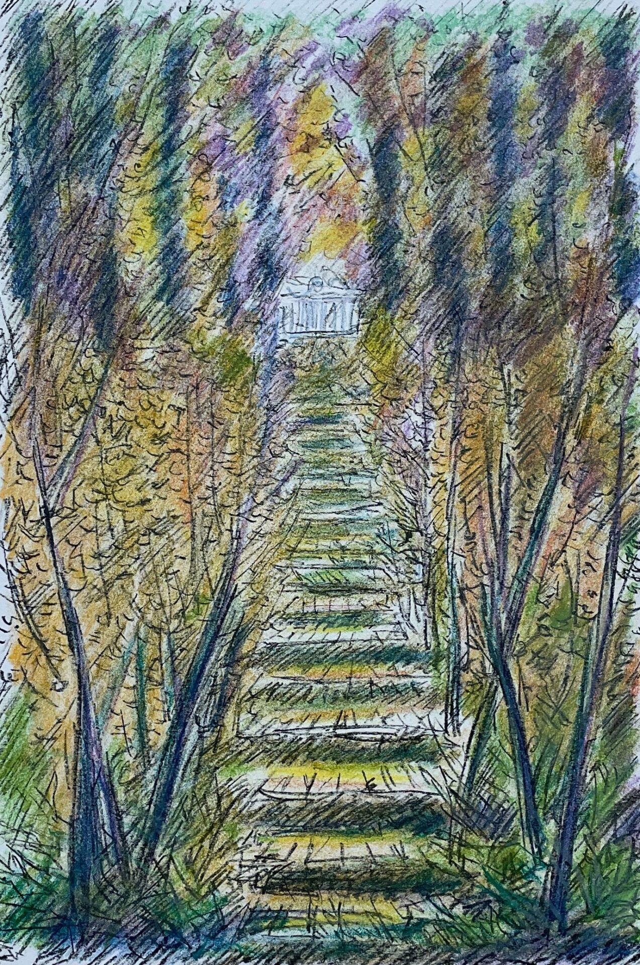 Scale nel Bosco | Michele Cascella
