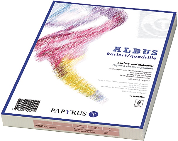 PAPYRUS Carta per disegno A4 88020015 160g, quadrett. 5mm 100 fogli