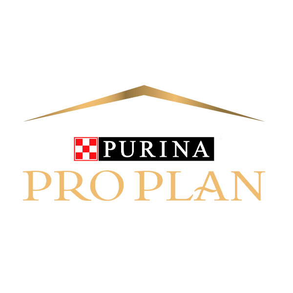 Purina Pro Plan Veterinary Diets Renal Function – Crocchette per Gatti - immagine 8