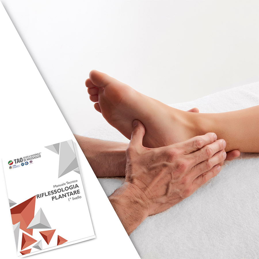 Riflessologia Plantare – corso in aula 14/28 ore formative - immagine 2