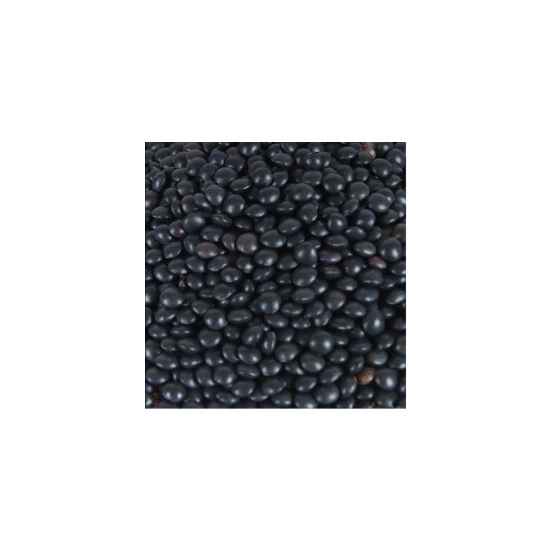 lenticchie nere italiane gr. 100 - immagine 2