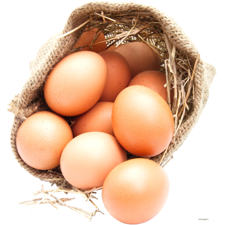 organic-egg - immagine 5