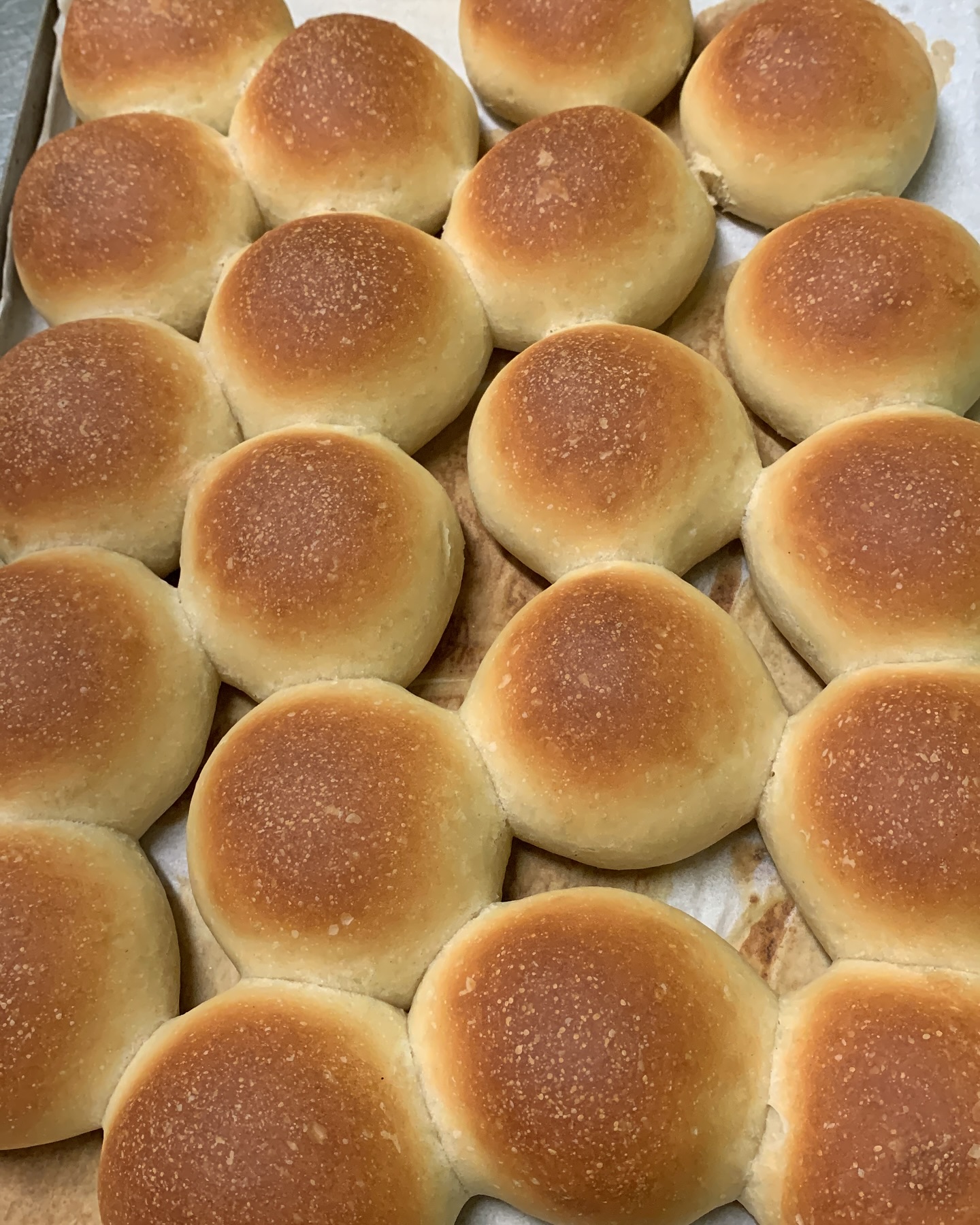 Panini di grano tenero vecchie varietà gr. 100 - immagine 4